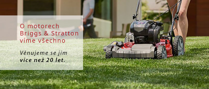 Motory Briggs & Stratton