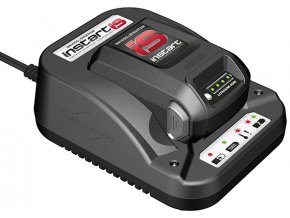 BriggsAndStratton InStart Charger Battery