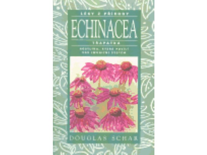 Echinacea -Třapatka Rostlina, která posílí váš imunitní systém