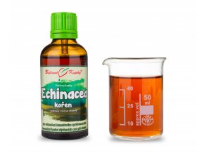 echinacea trapatka koren bylinne kapky tinktura 50 ml