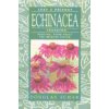 Echinacea -Třapatka Rostlina, která posílí váš imunitní systém