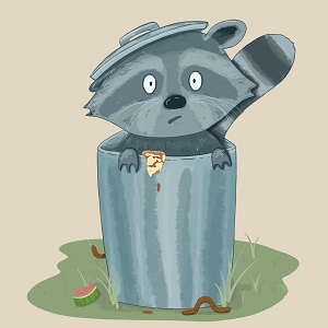 Jak vyčistit odpadkový koš. 3 jednoduché triky, aby nepáchl