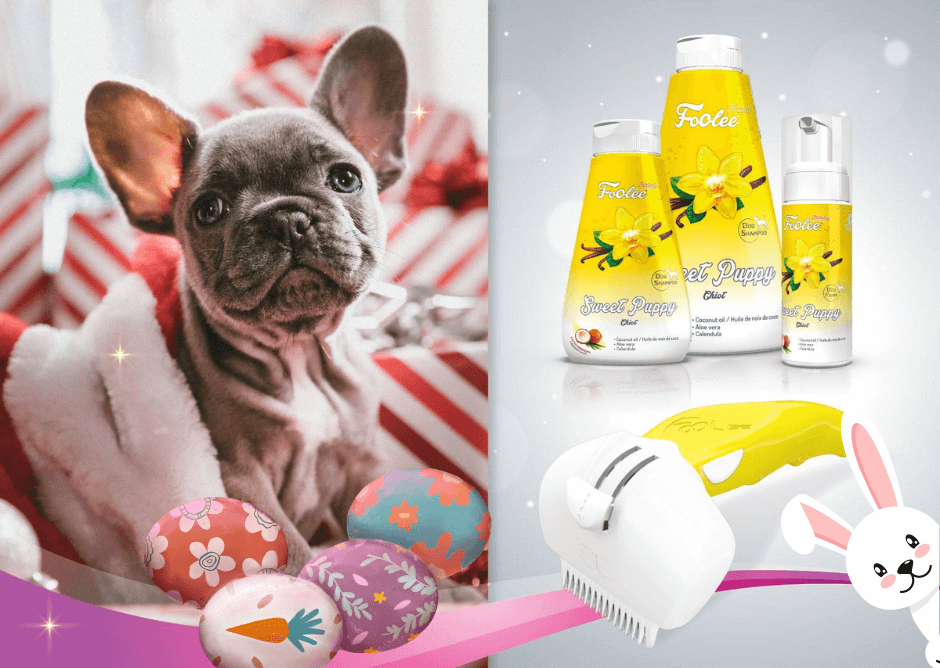 Pes s hřebeny a šampony Foolee