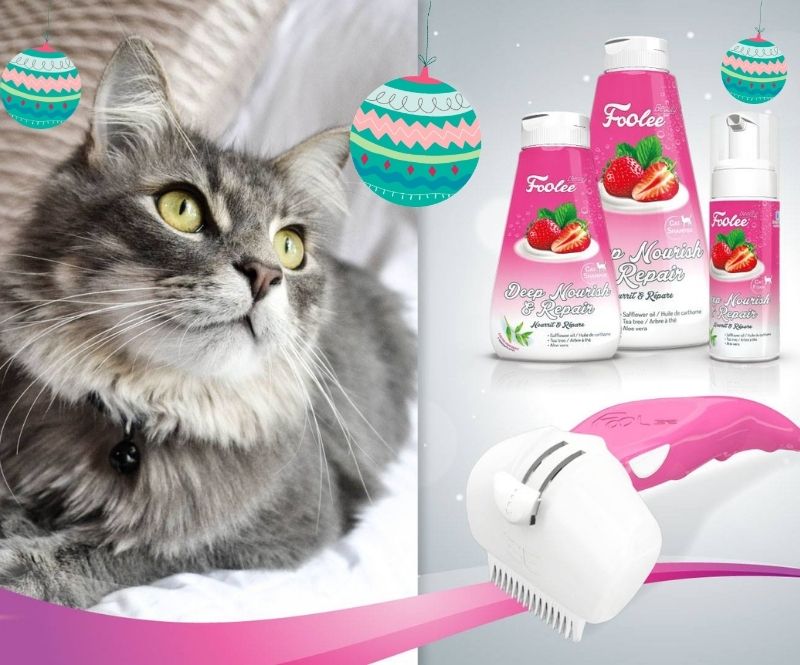 kočka s růžovým hřebenem na vyčesávání srsti Foolee