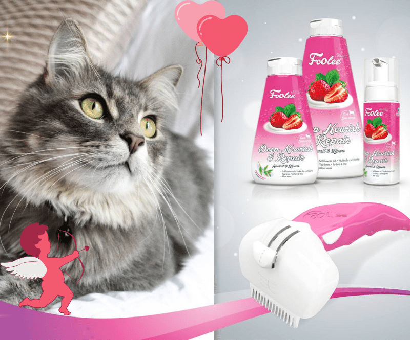 kočka s růžovým hřebenem na vyčesávání srsti Foolee