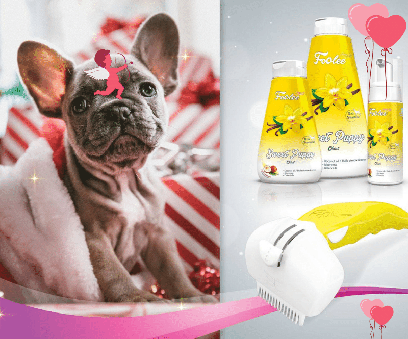 Pes s hřebeny a šampony Foolee