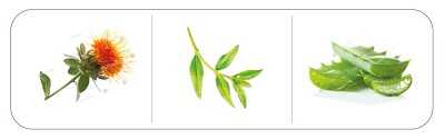 sampon-pro-kocky-foolee-beauty-nourish&repair-regenerace-hloubkova-vyziva-srsti-3ingredience-1024_optimized