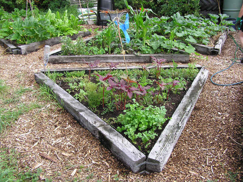 Šetříme vodou na zahradě – každá kapka se počítá