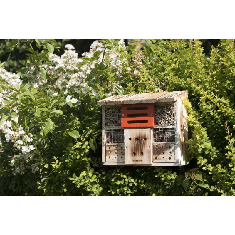 Kam umístit hmyzí hotel