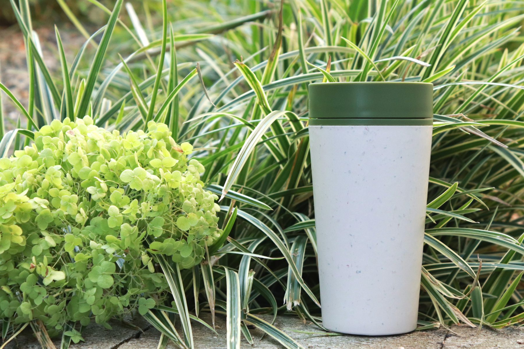 Ochladilo se, je čas na teplou kávu či čaj z Circular Cup