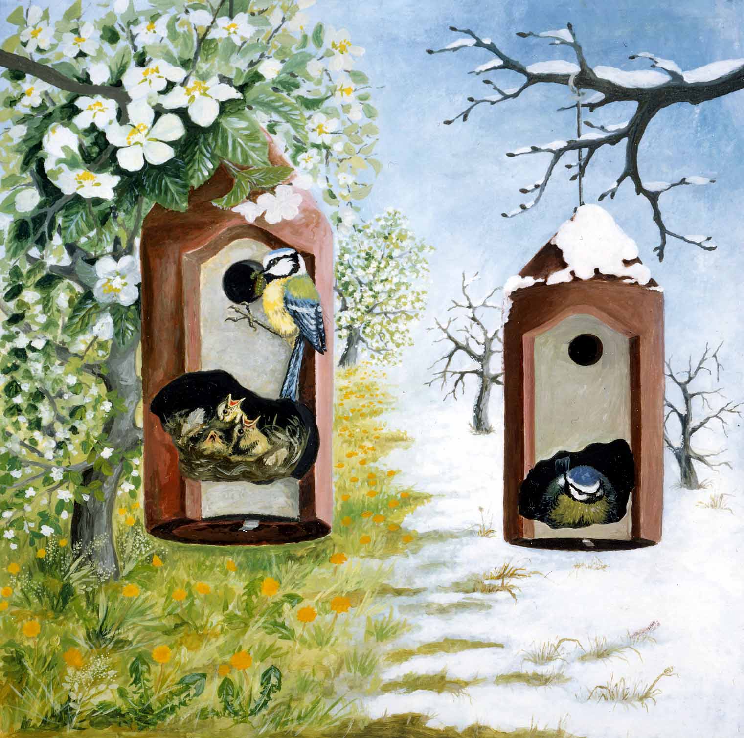 Jak ochránit mláďata ptáků před predátory výběrem správné budky