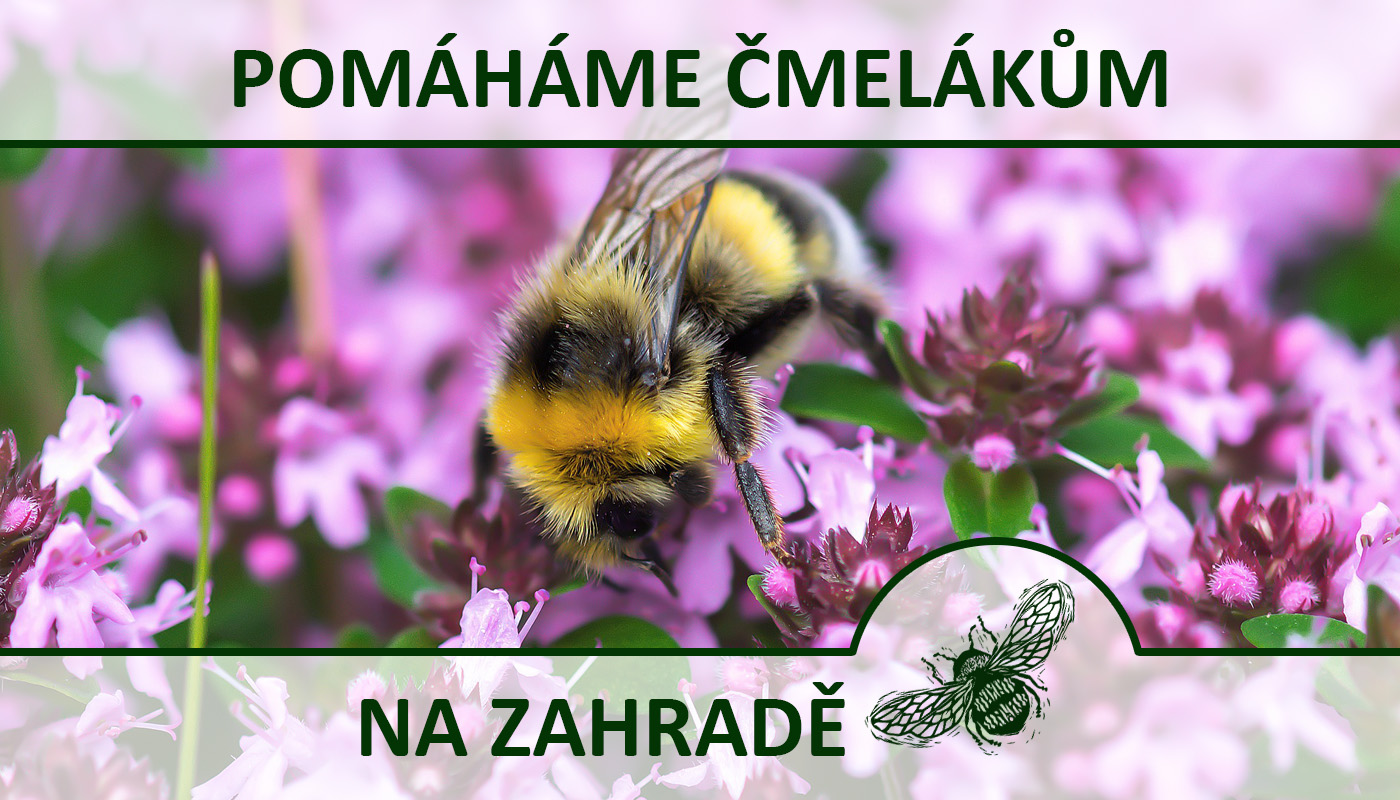 Pomáháme čmelákům na zahradě