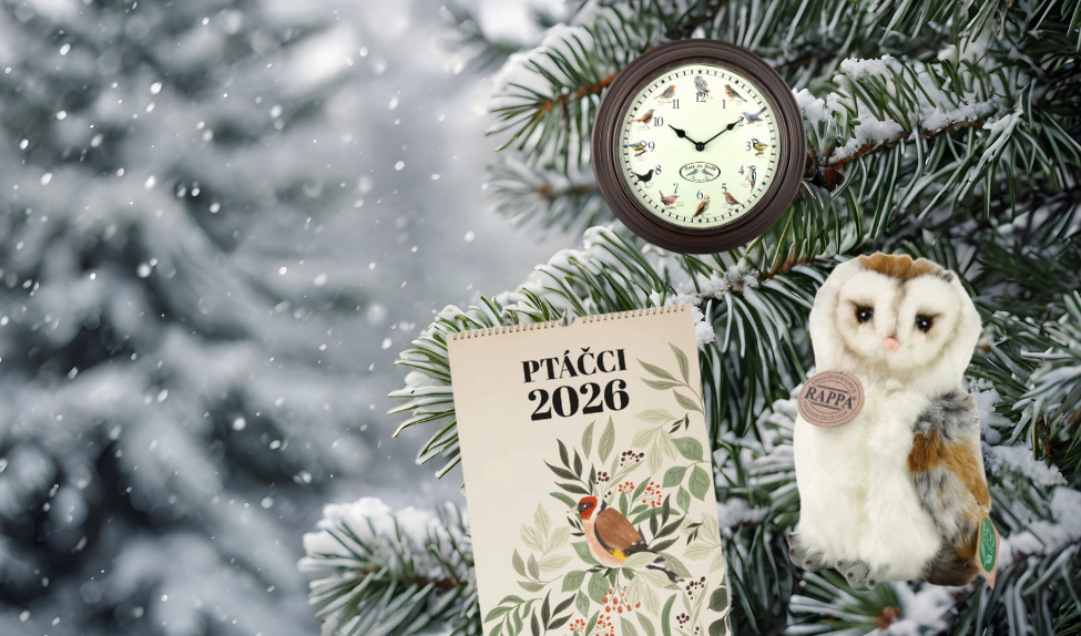 ADVENT a VÁNOCE 2025