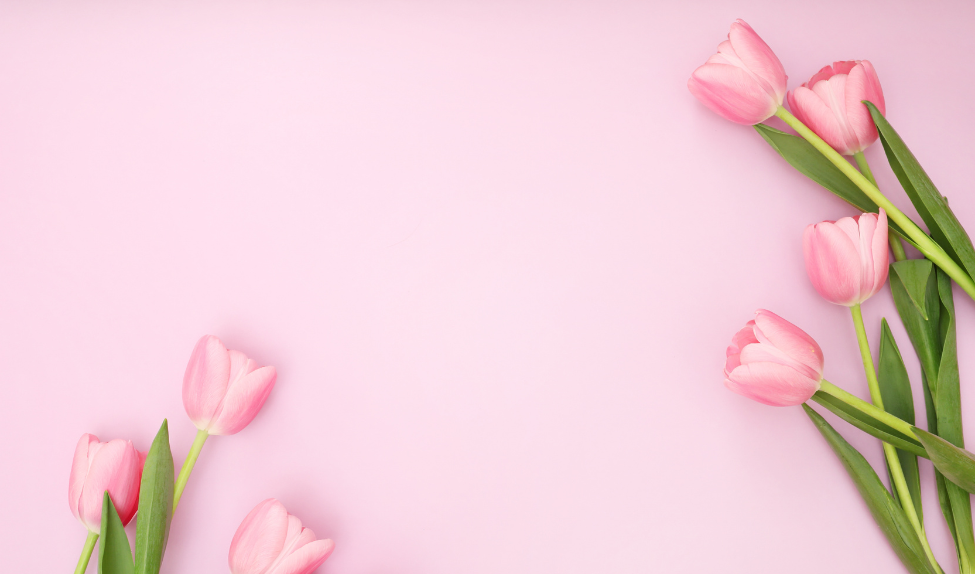 Ptačí výběr k MDŽ