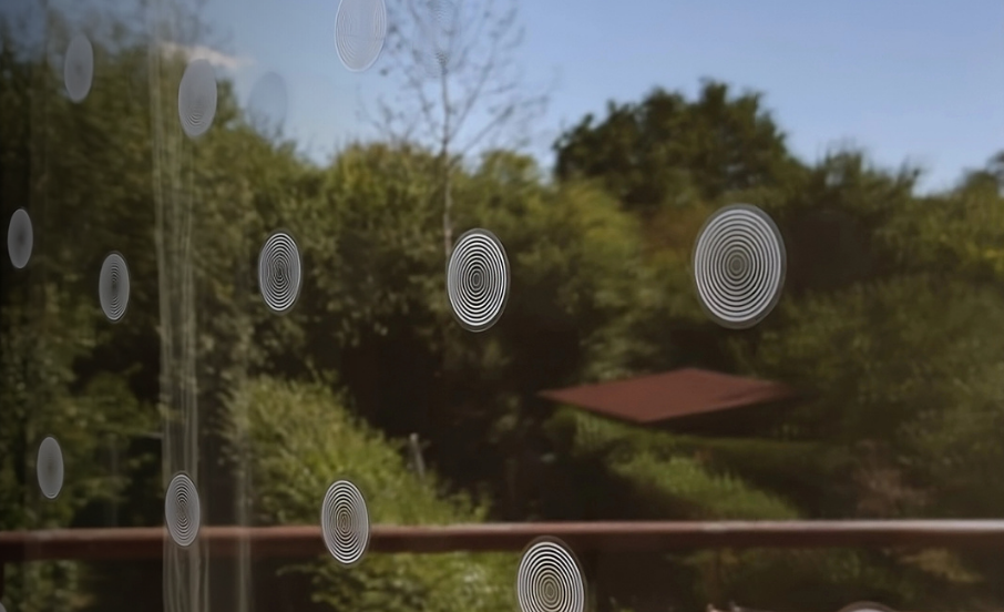 SAMOLEPKY NA OKNA na ochranů ptáků