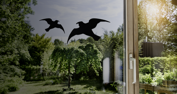 SAMOLEPKY NA OKNA na ochranů ptáků