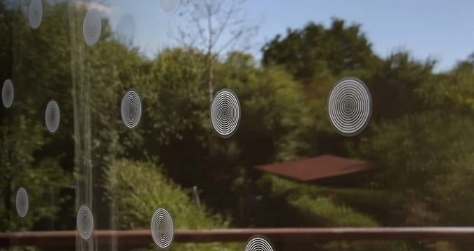 SAMOLEPKY NA OKNA na ochranů ptáků