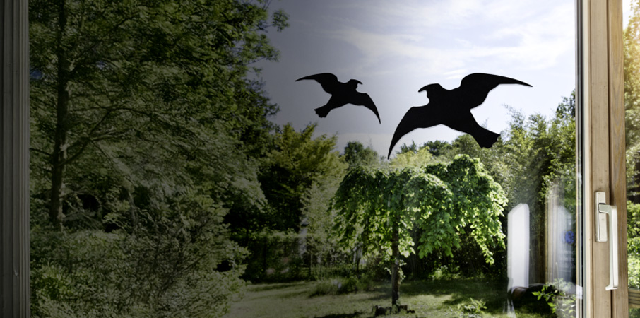 SAMOLEPKY NA OKNA na ochranů ptáků