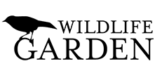 welcome image