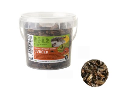 cvrcek web 1