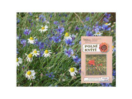 4105 seminkova smes polni kviti 10g