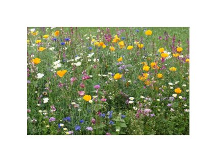 Semínková včelí směs pro opylovače