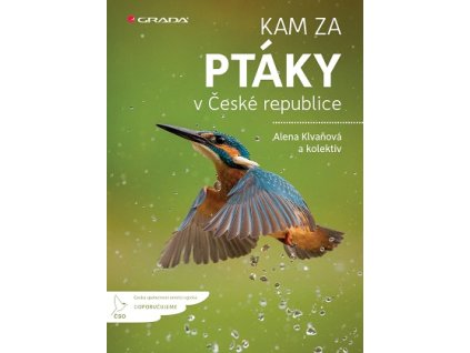 Kam za ptáky v České republice