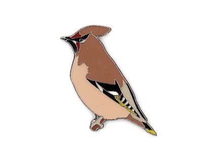 Odznáček - brkoslav severní 2