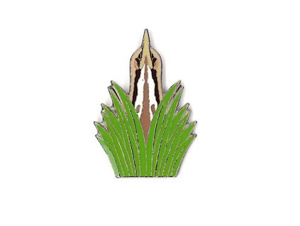 Odznáček - bukač velký