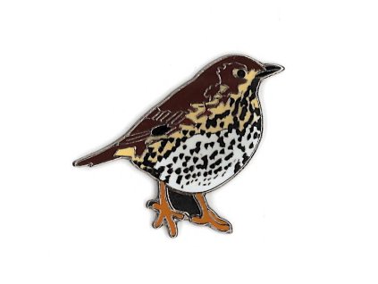 Odznáček - drozd zpěvný 1