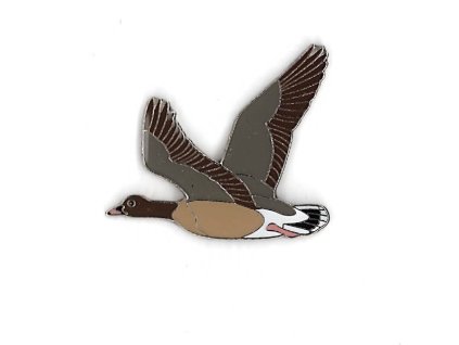 Odznáček - husa krátkozobá