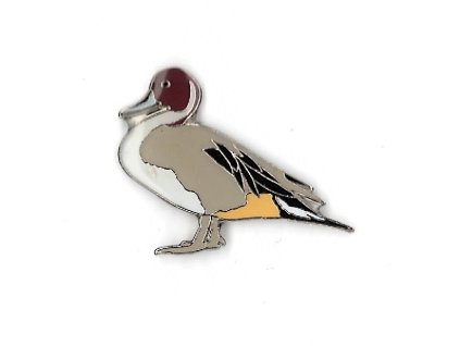 Odznáček - ostralka štíhlá