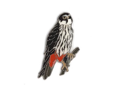 Odznáček - ostříž lesní