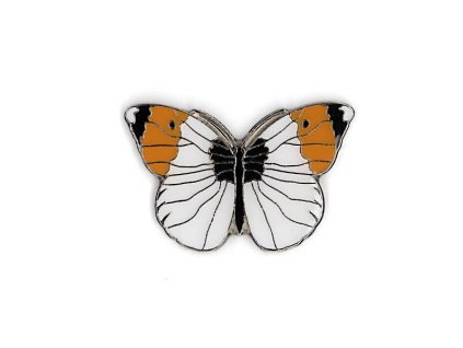 Odznáček - bělásek řeřichový