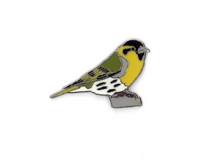 Odznáček - čížek lesní