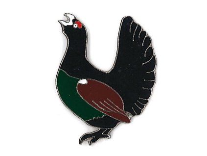 5104 odznacek tetrev hlusec