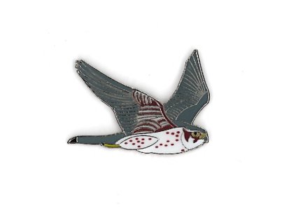 Odznáček - dřemlík tundrový