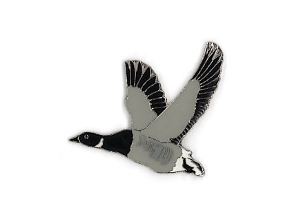 Odznáček - berneška tmavá v letu