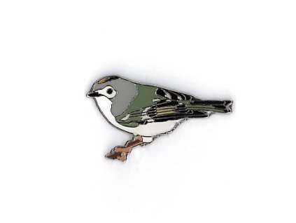 Odznáček - králíček obecný