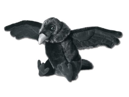 file 1543872554957 Krkavec 30cm%20%20ret