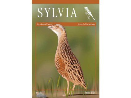 5926 sylvia 57
