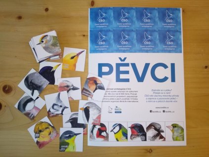 Pexeso Pěvci