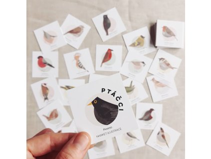 Pexeso Ptáčci