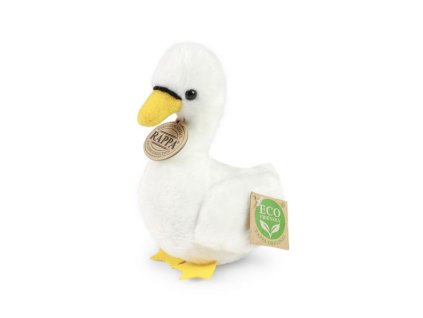 file 1717057497388 Rappa mini%20labut