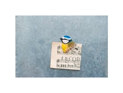 wg4924 magnet bluetit highres
