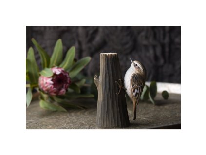 wg4443 decobird commontreecreeper env highres