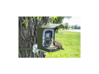 Krmítko pro ptáky s kamerou Technaxx Full HD Birdcam TX-165 + paměťová karta zdarma