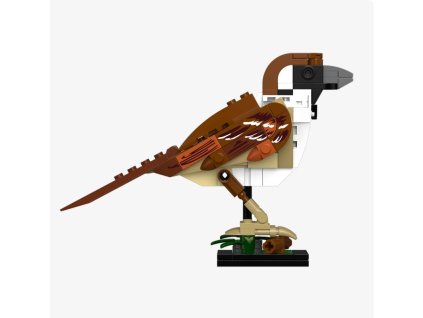 Snímek obrazovky (314)