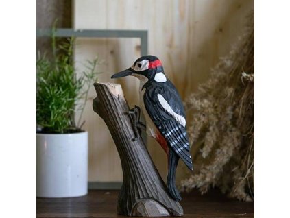 11661173 origpic 5c895c