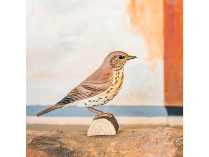 164170473 origpic f96f81